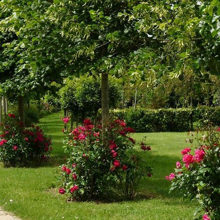 Gite Le Logis - Manoir Le Plessix Madeuc Corseul Екстер'єр фото